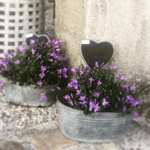 two metal buckets with purple flowers in them at Maison & Tartine in Colombey-les-deux-Églises