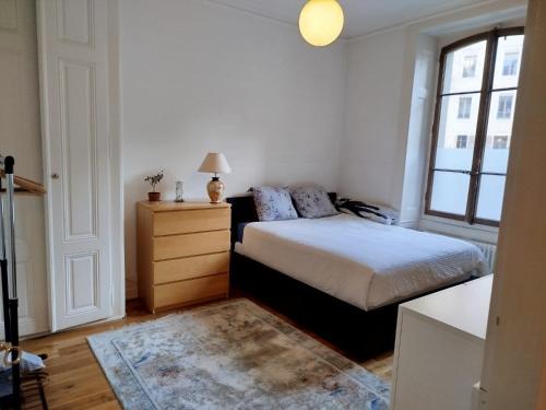 Spacious unique 150m2 apartment Geneva city center