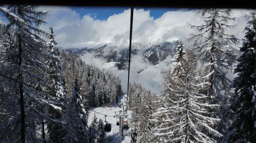 a view of a ski slope with snow covered trees at Apartment Ski Marilleva 1400 in Marilleva