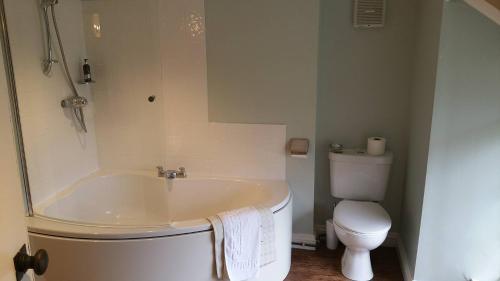a bathroom with a tub and a toilet at The Mill House in Tintagel