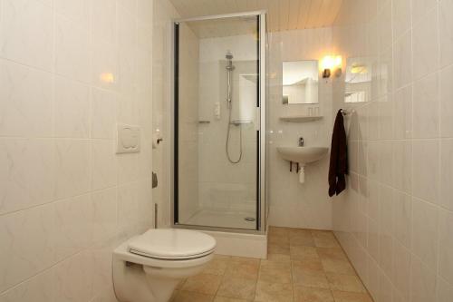 uma casa de banho com um chuveiro, um WC e um lavatório. em Hotel-Appartementen Klaver Vier em Wagenborgen