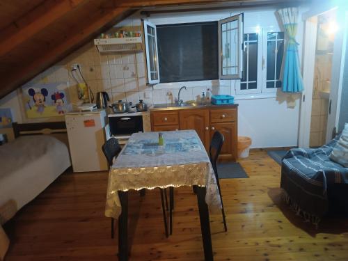 Diogenis Loft studio A 33m2