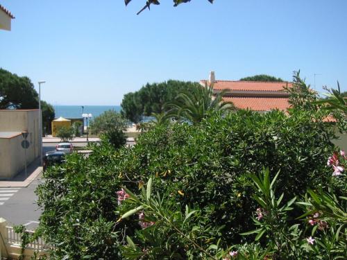 a bush with flowers and the ocean in the background at Villa Grantorre in Torre Grande