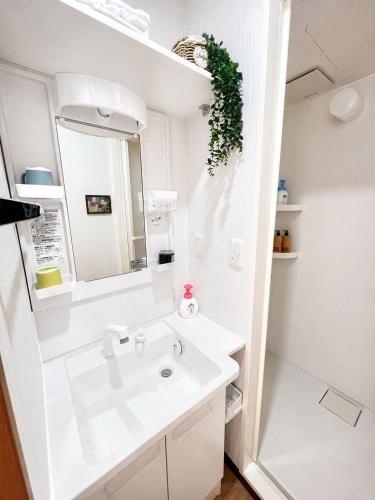 Asahi-house Hirai 302 2DK with a spacious balcony 5 minutes on foot from JR Hirai Station Asakusa, Akihabara, Disney
