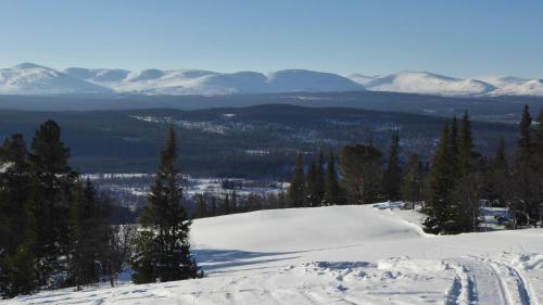 a snow covered slope with trees and mountains in the background at Vålådalens Fjällstation in Vålådalen