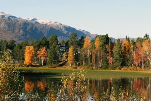 a lake with trees and mountains in the background at Vålådalens Fjällstation in Vålådalen