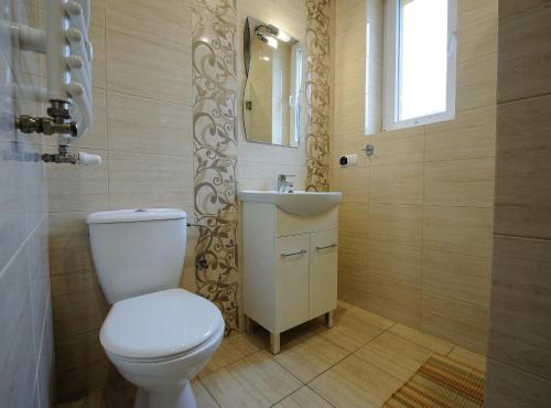 W łazience znajduje się toaleta, umywalka i lustro. w obiekcie Pokoje i apartamenty IWONA w Ciechocinku