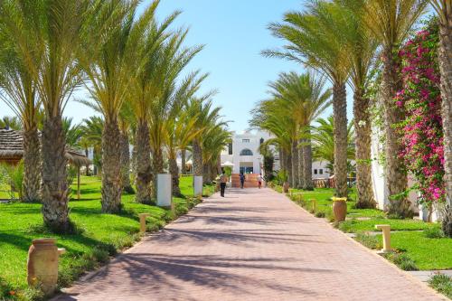 a walkway lined with palm trees in front of a building at Club Palm Azur Families and Couples in Midoun
