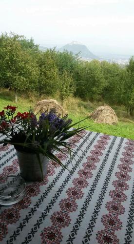 a table with a table cloth with a vase of flowers at Hanu lu Mos Opinca in Deva