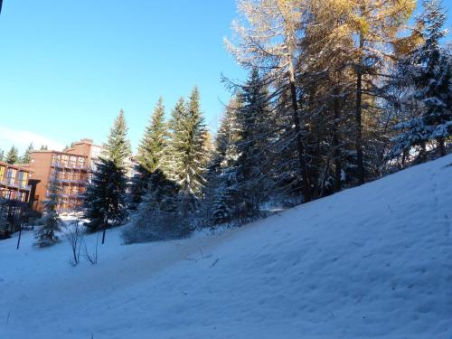 Résidence Aiguille Grive Bat Iii - Appartement 2 pièces 6 personnes en duplex, skis aux pieds, dans le village de Charmettoger à Arc 1800 MAE-2037