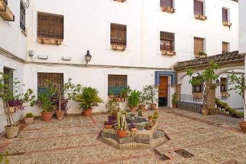 Medina Paradise Cordoba