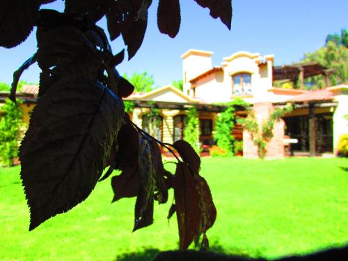 a house with a tree in front of a yard at Pilgrim's Rest - Descanso del Peregrino in Chacras de Coria
