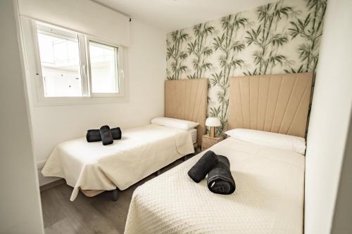 Kame House-3HAB, 3 terrazas con vistas al mar y parking, a un paso del centro