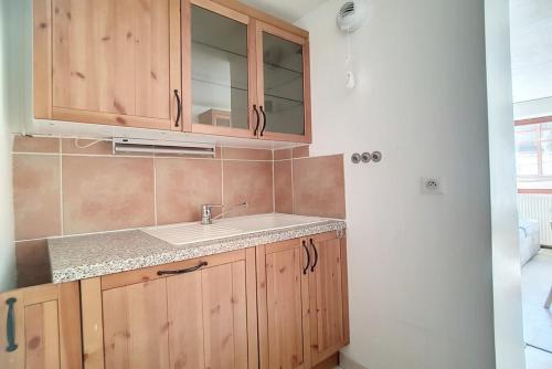 Résidence Les Lauzes - Appartement lumineux · Départ et retour ski aux pieds MAE-0964