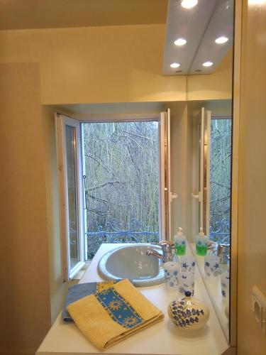 une salle de bain avec baignoire et une grande fenêtre dans l'établissement Moulin De Cornevis Bed and Breakfast, à Privas