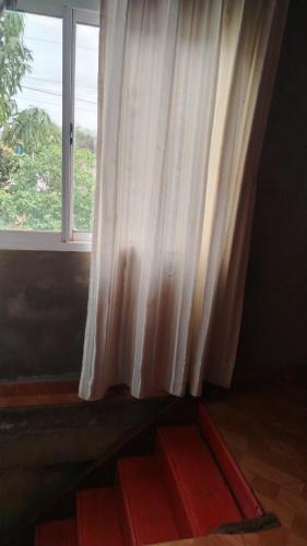 La casita de la selva