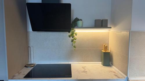 Luxury OpenSpace Apartment-Brand New 65-inch Smart TV, Dryer, Built-in closet