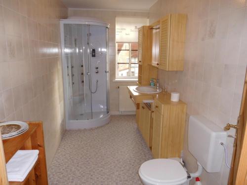 a bathroom with a shower and a toilet and a sink at Ferienwohnung Wacker, Apartments und Zimmer in Züschen