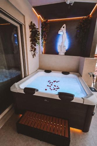 Luxury Apartment with wirlpool above Kesariani, Athen