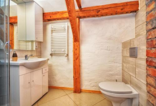 a bathroom with a white toilet and a sink at Nad morzem i jeziorem Dworek Kopań in Kopań