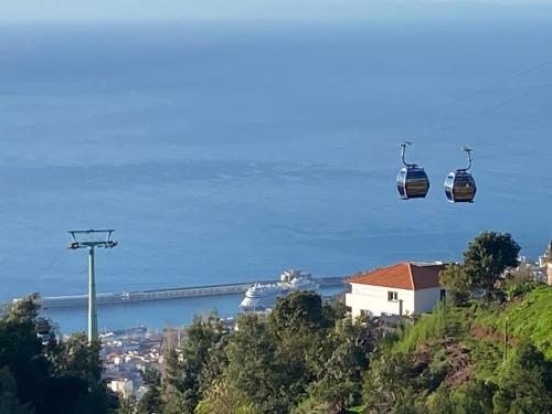Cestos do Monte
