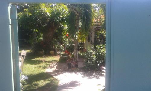 an open door to a garden with a palm tree at Les Fougères in Baie-Mahault