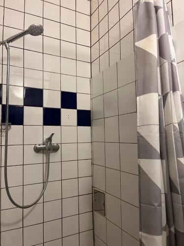 Traveler Rooms Vienna