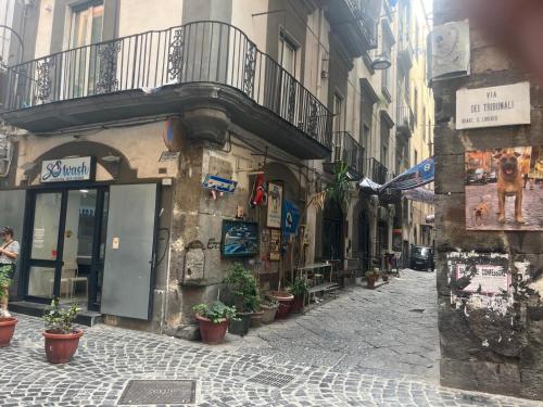 Googaia Tribunali 12