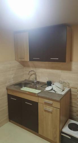 a kitchen with a sink and a counter top at Pestani Apartment in Peštani