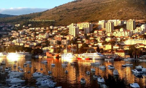 Apartment "Orangina" Sea - Nature - Relax - Ideal for Couples