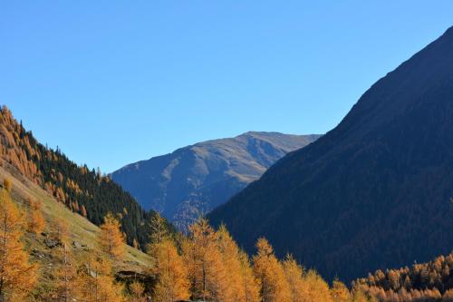 a view of a valley with trees and mountains at Haus Sonnenalm in Sankt Sigmund im Sellrain