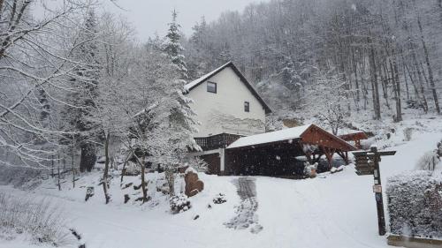 a house covered in snow in a forest at Gästehaus Gerhardt in Schweigen-Rechtenbach