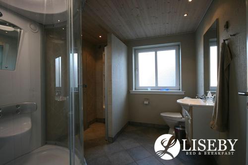 y baño con ducha, aseo y lavamanos. en Liseby Bed & Breakfast, en Stege