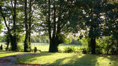 a park with benches and trees in a field at Rings Coach House Retreat in Carlow