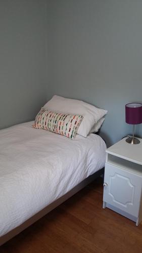 a bed with a pillow and a table with a lamp at Rings Coach House Retreat in Carlow