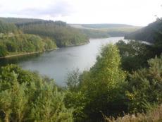a view of a river with trees at Belle Vue Hotel in Llanwrtyd Wells
