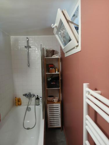 Sunny and Central Flat with a cute cat