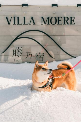 藤乃宿 Villa Moere モエレ沼公園すぐ 愛犬と一緒に泊まれる新築1棟貸し