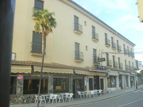 a building with chairs and a palm tree on a street at Hotel Hispanidad in Guadalupe