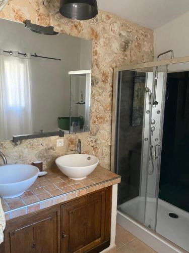 Mazet 2 chambres Île de la Barthelasse Avignon