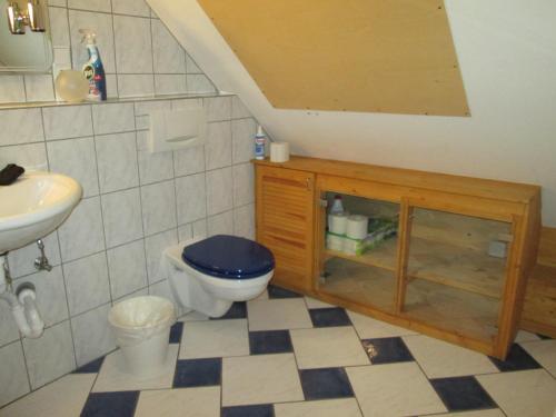 ein Bad mit einem WC und einem Waschbecken in der Unterkunft Schorfelder Hof in Gondershausen