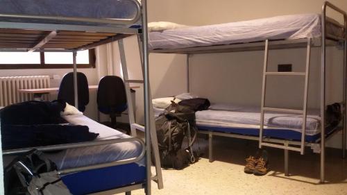 two bunk beds in a room with a cat laying on them at Albergue Peregrinos San Francisco de Asis in León