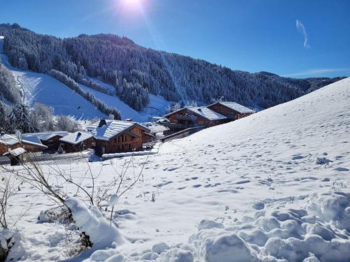 Chalet Les Perrieres - Appartement douillet dans petite résidence au calme. MAE-1211