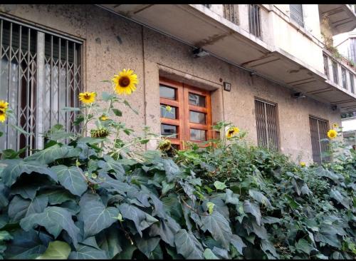 Cosystudio your top ideal spot in the heart of Milan