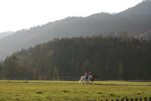 two people are riding horses in a field at Hotel Riedl in Kössen