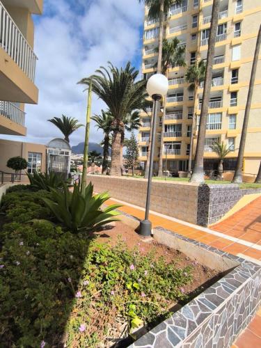 Apartment Torres de Yomely