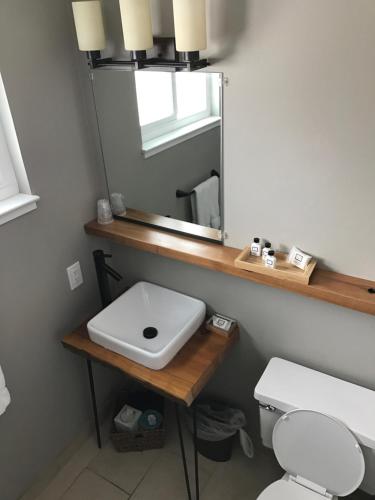 a bathroom with a white toilet and a mirror at Resthaven Tahoe in South Lake Tahoe