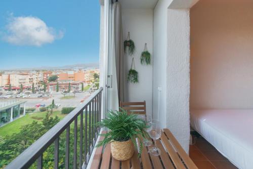 WELCS ESTUDIO 443 EMP frente al mar
