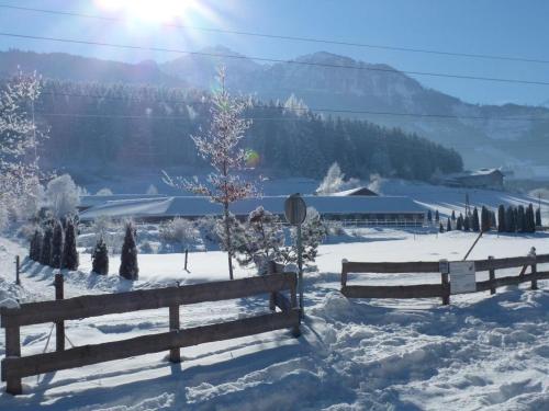 Chalet Edelweisspitze