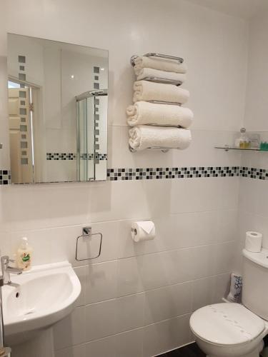 a bathroom with a sink and a toilet and a mirror at Sunflower Lodge in Bridlington